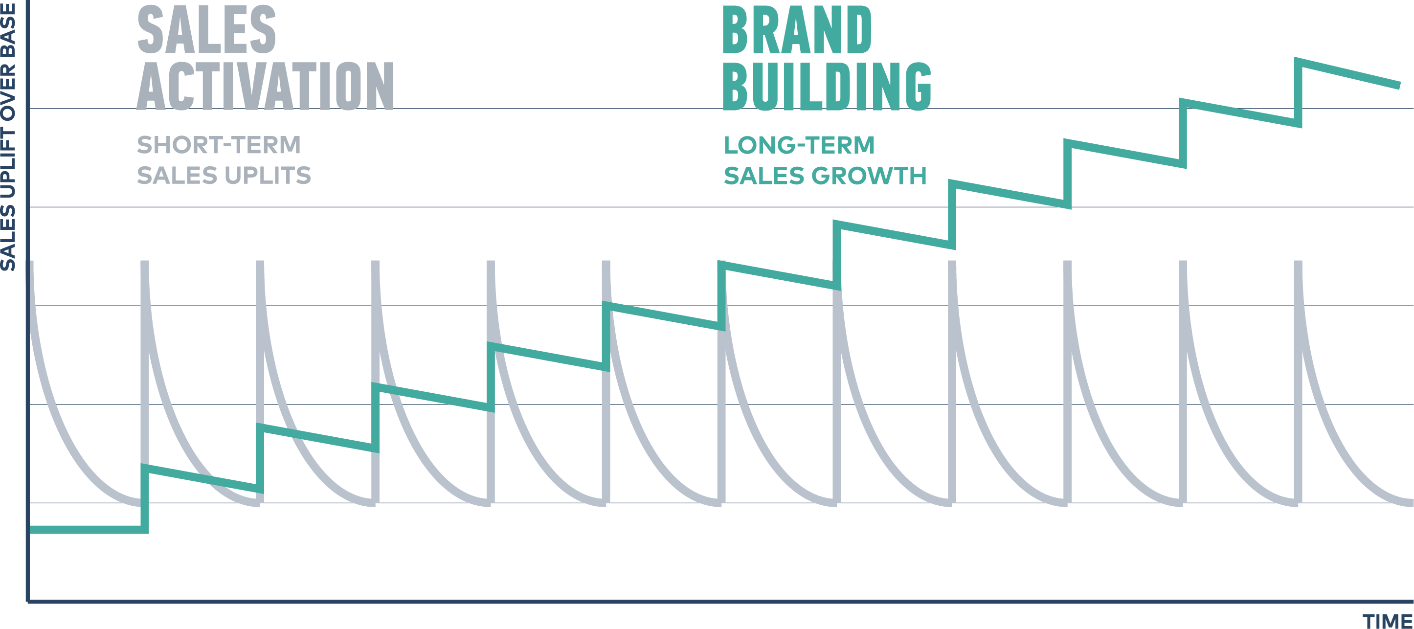 brand_sales_graph1